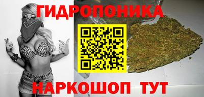 гидропоника Балахна