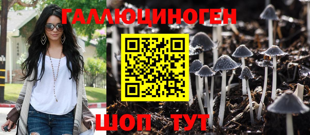 Гусиноозёрск  Псилоцибиновые грибы Psilocybe  Вход с VPN  Псилоцибиновые грибы Psilocybine cubensis 